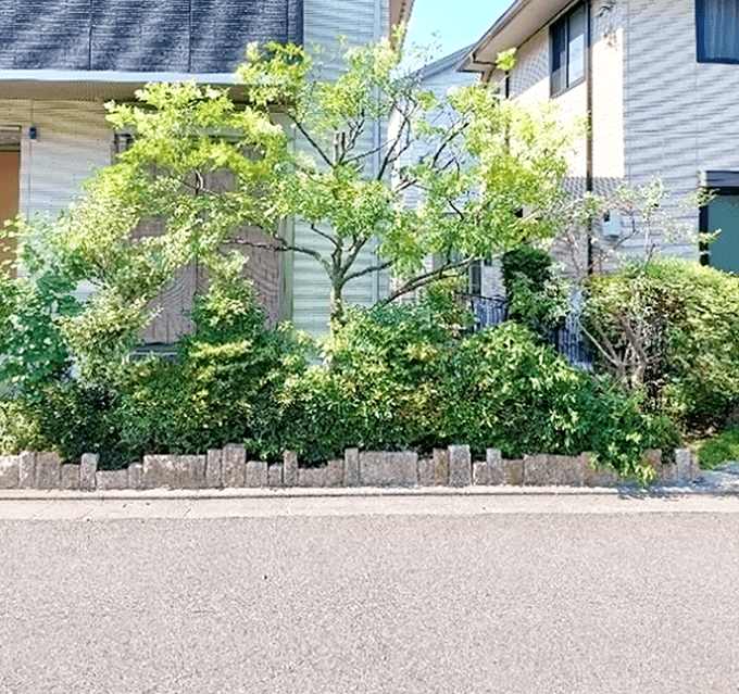 庭木のお手入れ例4